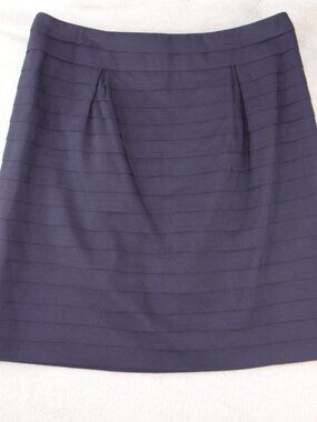 Leifsdottir Navy Blue Tiered Pleated Mini Skirt Exposed Back Zip Womens Size 2